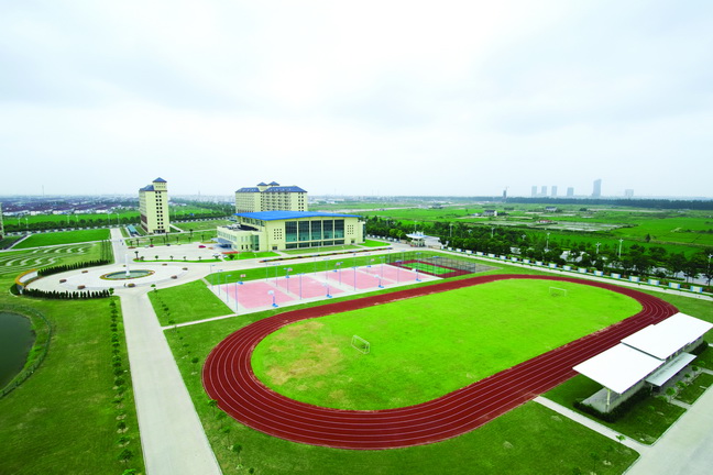 新粤商人物介绍之张茵(图3)